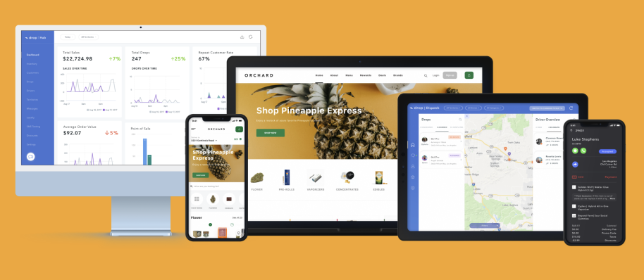 screenshot of Drop Delivery